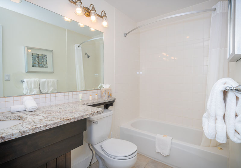 The living room in one of our Regency suites featuring a large, two person clawfoot soaker tub, electric fire place and sitting area.