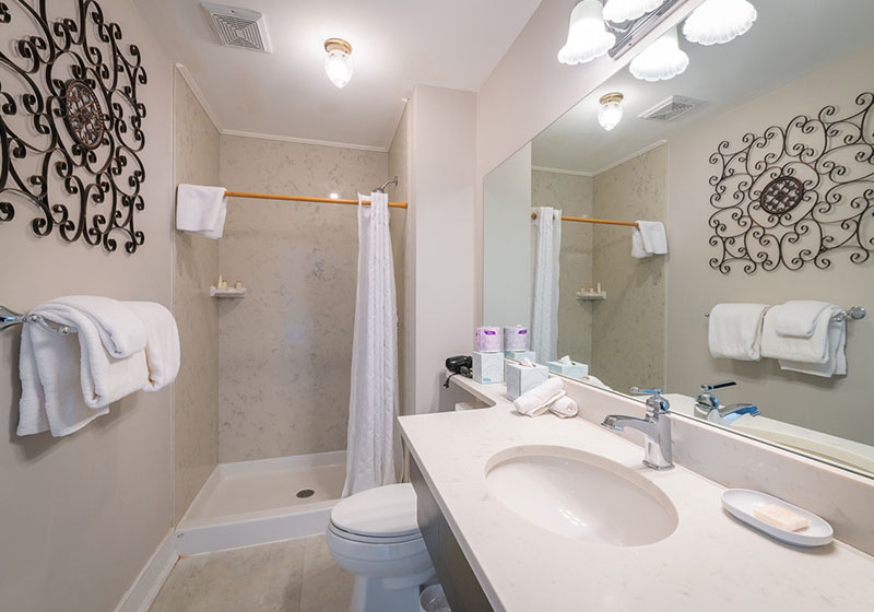 The living room in one of our Regency suites featuring a large, two person clawfoot soaker tub, electric fire place and sitting area.